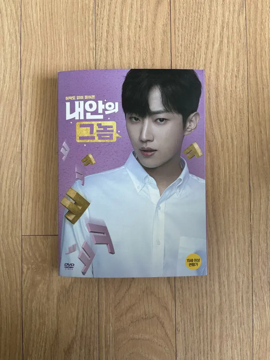 비원에이포 진영 내안의 그놈 dvd